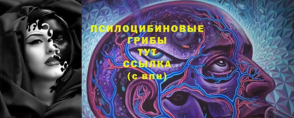амф Абинск