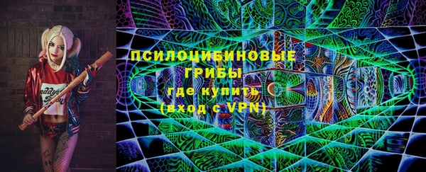 гашик Сафоново
