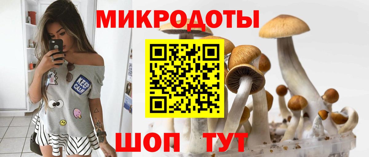 Псилоцибиновые грибы прущие грибы  Вход с VPN  Псилоцибиновые грибы Psilocybe  Нягань 